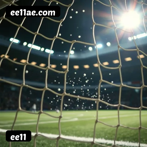 Estatísticas ee11 novembro 2024 - 87 mil jogadores ativos, R$47M pagos, RTP 96.52%